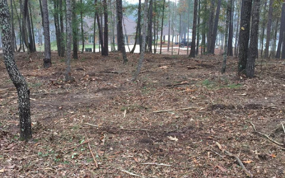 land clearing 